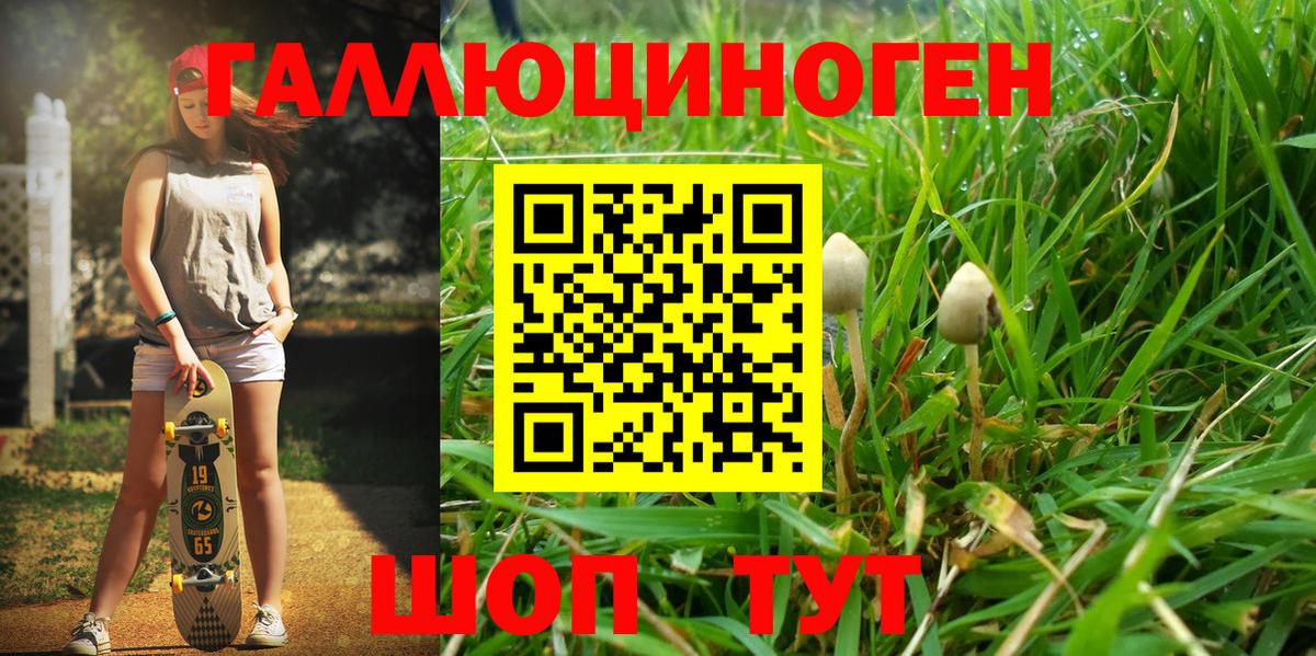 Псилоцибиновые грибы Magic Shrooms  Галлюциногенные грибы мухоморы  Артёмовский  Вход с VPN 