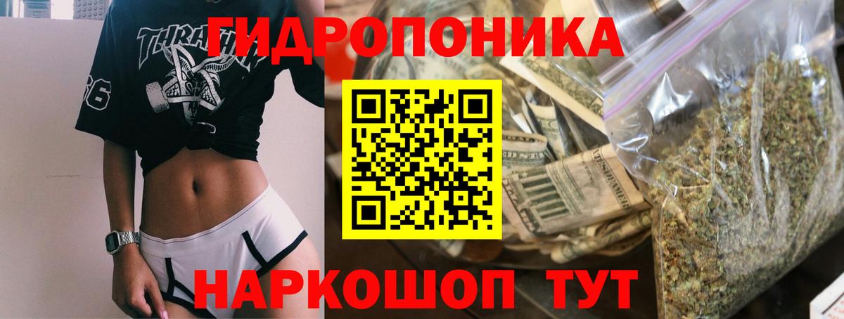 Канабис сатива  Марихуана план  Артёмовский  Вход с VPN  Конопля THC 21% 